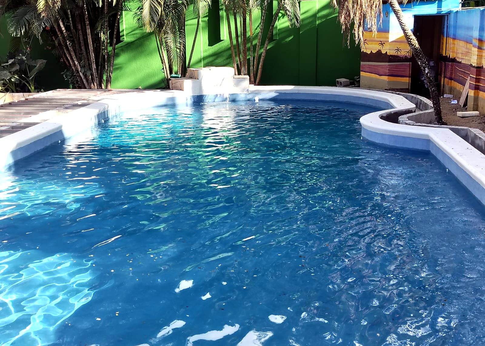Piscina de forma libre terminada, rodeada de palmeras